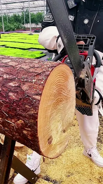 Low-emission fuel-efficient chainsaw meets overseas environmental standards. Com