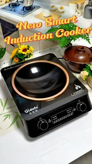 New Smart Waterproof Induction Cooker  Kitchen Gadgets Makes your Life Easier  B
