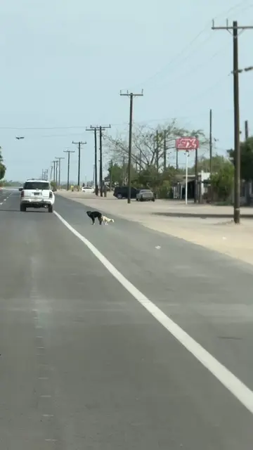 Sometimes I think about what would’ve happened if we’d driven down that road fiv