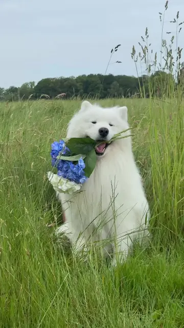 No rain, no flowers 🌼 🌧️ 🌈 *Ad / Werbung In dem riesigen Sortiment von @zoopl