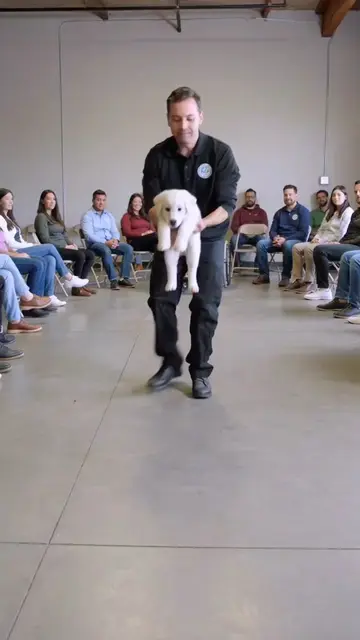Puppies Choose their humans 😍  On this special Adoption day, the puppies get to