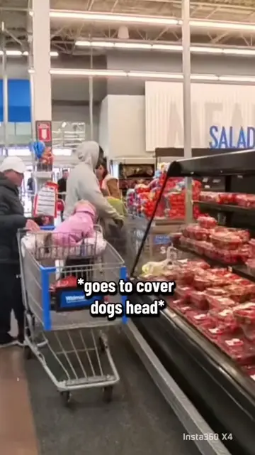 Walmarts not pet friendly. It's service animals only. #LearnOnTikTok #WorkingDog