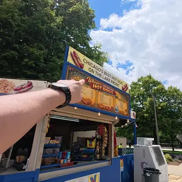 Trying Chicago's Best Hotdog In Chicago, USA #usa #chicago #travel #traveltiktok