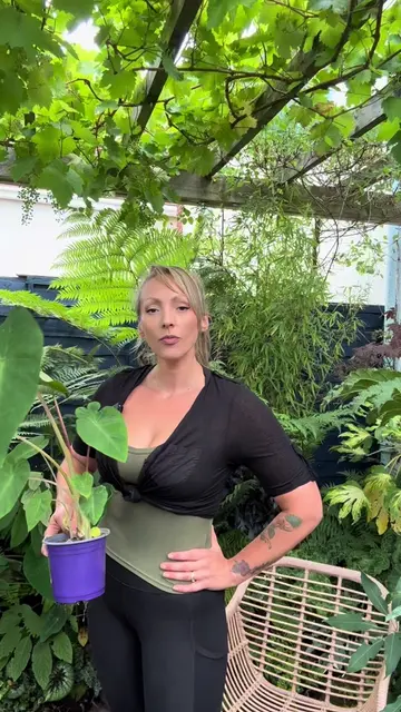 “I’m going to show you some plants… 🌿 If you don’t think these are cool, we pro