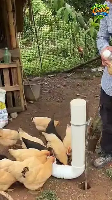 ♻️🐔 TRASH TO TREASURE! Plastic bottle + plastic pipe turned into a smart chicke