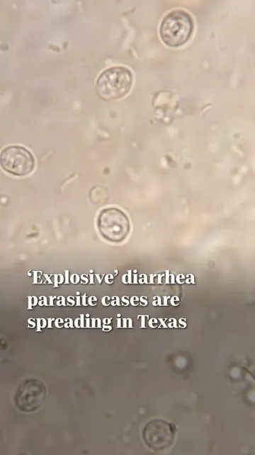 Cryptosporidiosis and cyclosporiasis are spreading throughout the country, with 