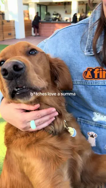 The Finn team loves a summa @dogppl 