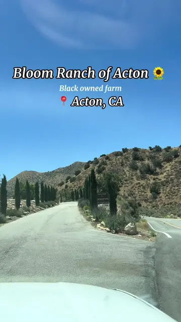 Got to explore Bloom Ranch today! Beautiful farm with beautiful people. The ladi