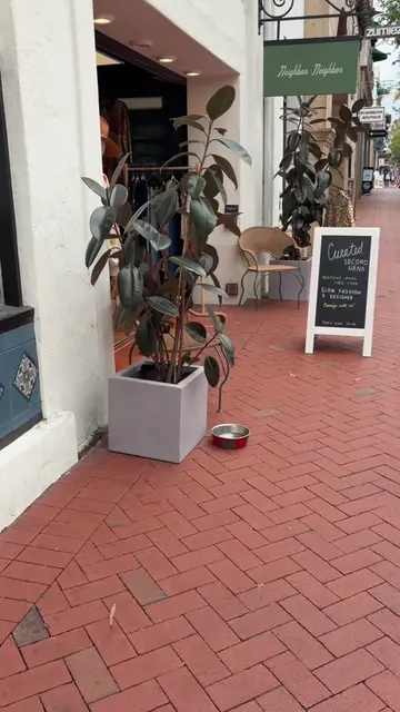 Neighbor Neighbor on State Street in Santa Barbara is such a fresh take on consi
