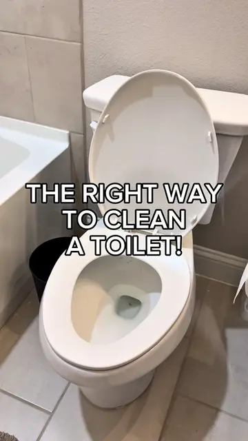Hear me out… if you didn’t remove the lid, you didn’t clean the toilet! But per 