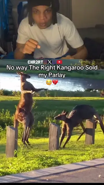 Twitch chr2rt #chr2rt #fyp #twitchstreamer #reaction #animals 