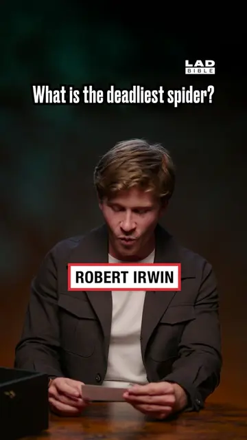 Robert Irwin on How the World’s Deadliest Spider Isn’t What You Thought It Was #