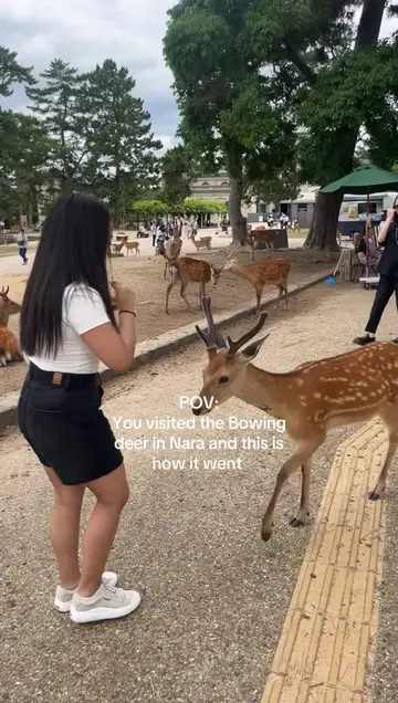 It was one of the most stressful but coolest experiences ever!! Tip: try feeding
