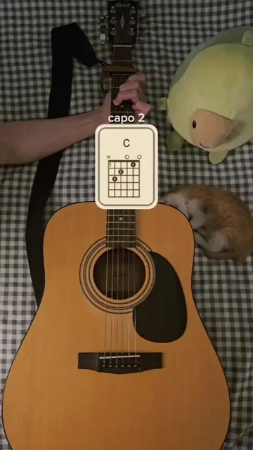 Ode to my family – @The Cranberries guitar tutorial  #thecranberries #guitartuto