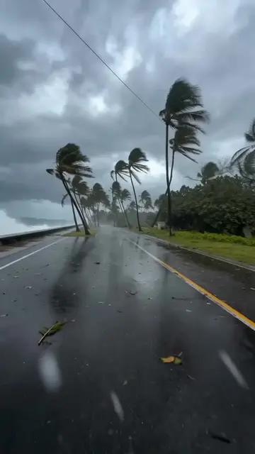 #hurricane #florida #miami #