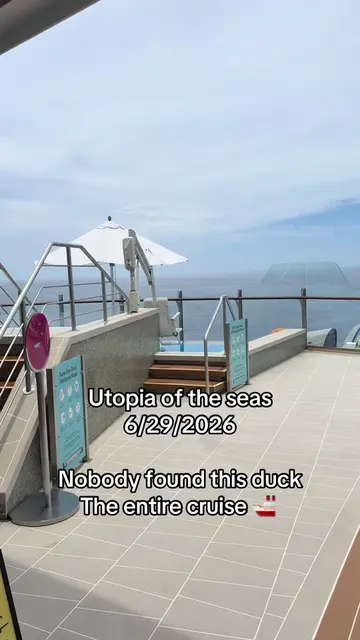 How long will it take to get Found? #utopiaoftheseas #royalcarribean #duckhuntin