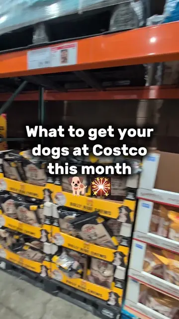 Happy July @Costco Wholesale dog finds!! #dogs #dogsofttiktok #costco #costcofin