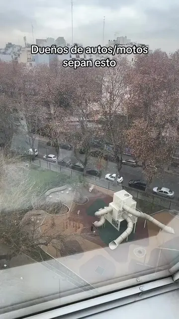 LINK EN LA DESCRIPCIÓN DEL PERIL. Si dejas el auto en la calle esto es ideal par