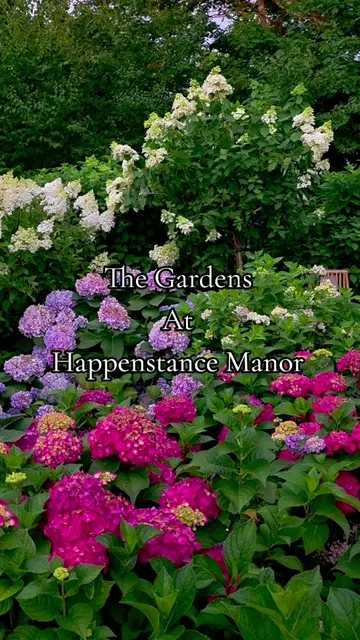 #HappenstanceManor 🌺🪻🌻 #garden #magic #badasspete 
