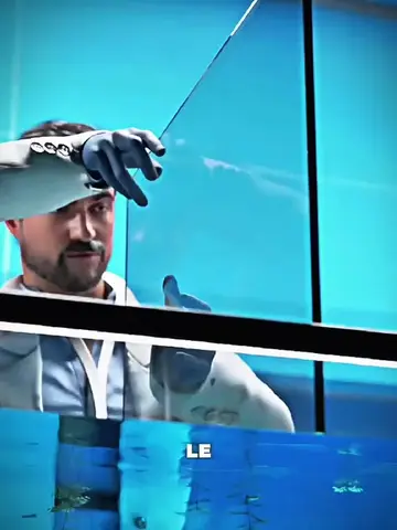 La barrière invisible 😮 #3danimation #NatureFact #LearnOnTikTok #FYP #FORYOU 