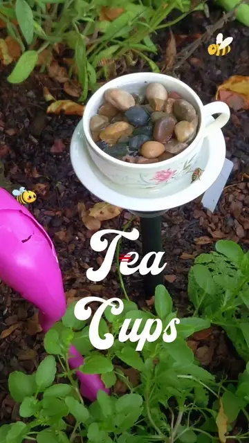 Pollinator watering station tutorial: so easy to do and you can move them anywhe