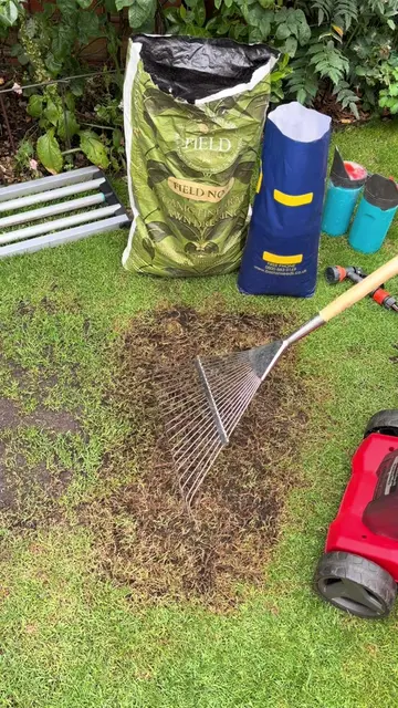 Repairing Lawn Thin & Bare Patch 🌱 Please do watch and listen along 👍  I’ve go