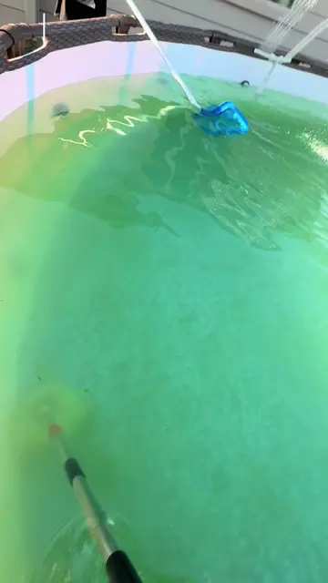 Hey loves come watch me take my pool from green 💚 to blue 🩵😎 Having a pool sh
