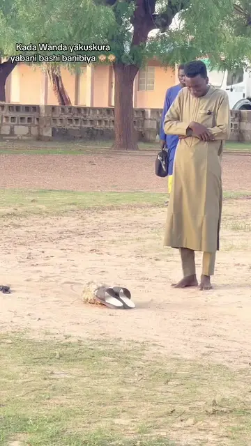 Ni bani biyan bashi 
