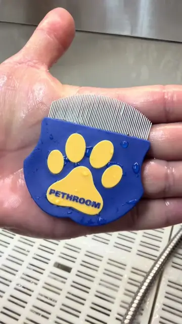 Gentle eye cleaning starts with the right tools. 🐶✨ I’ve been using this eye co