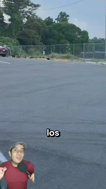 La verdadera razón por la que estos gatitos desaparecían uno a uno. 😸❤️🧓 #Lear