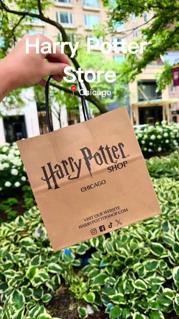 📍 @Harry Potter Shop chicago  @Harry Potter @HBO Max #harrypotter #harrypotters