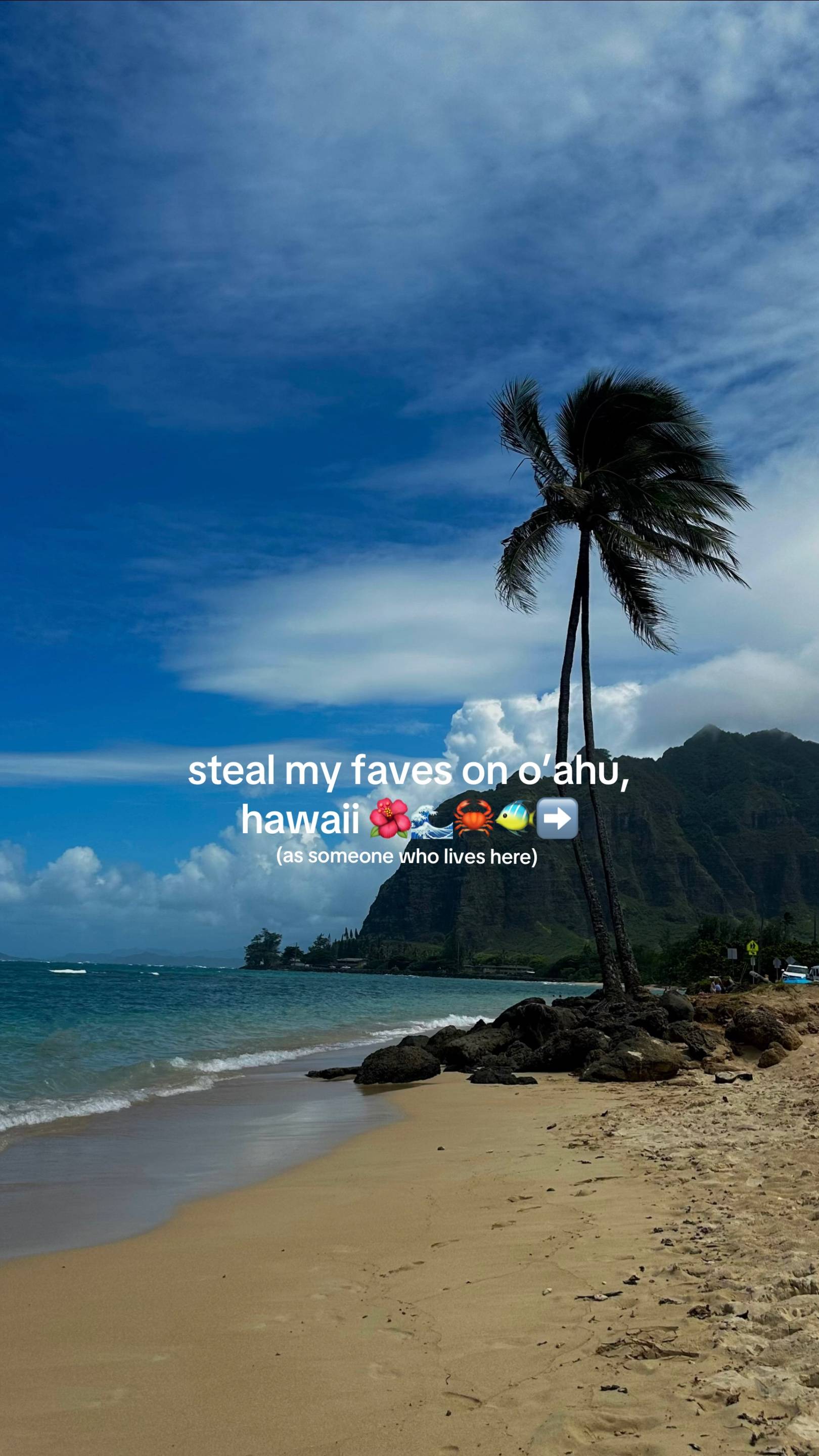 save this for your next trip to hawaii 🌺🌴🏄 #oahu #thingstodo #hawaiitiktok #t