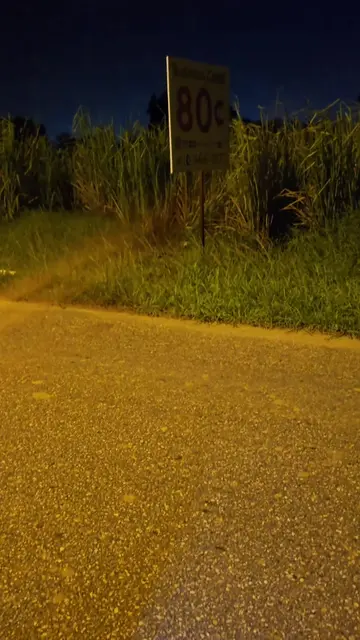 Puppy dumped 💔 A Heartbreaking Discovery:  A message that led me to a helpless 