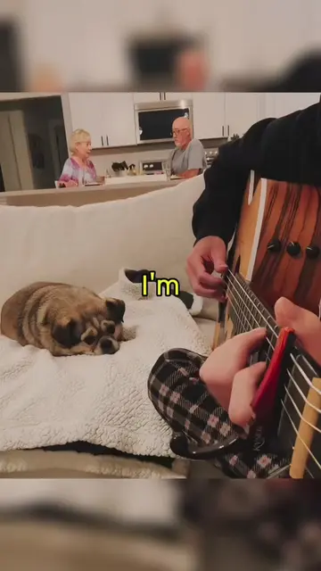 i'm sorry mom song reaction || how long until she realizes i wrote this song #ma