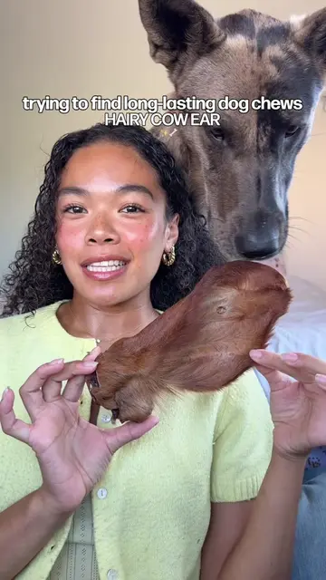😳 my heavy chewer vs. 15 minutes with a HAIRY cow ear 🐾✨🦴 trying to build a r