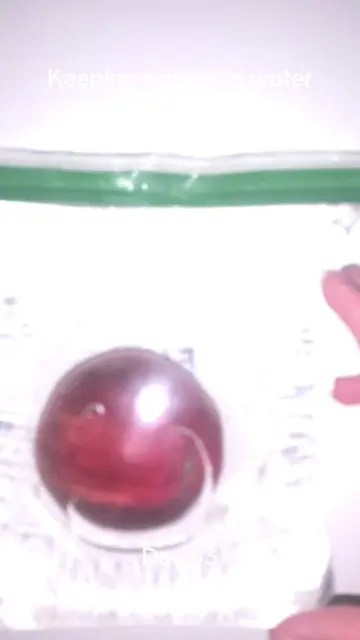 #viralchallenge #pleasedontflop #appleexperiment #appleinwater #sciencefun 