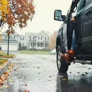 The Kindheardted Man Helped and Rescued the Dogs Family🩷 #doglover #dogsvideo #