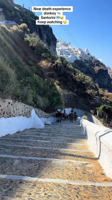 “They said, ‘Go on the donkeys… it’ll be fun,’ they said. 😳 What they forgot to