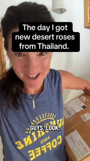 There’s a lot of work getting a desert rose from overseas. From phylo certificat