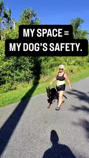My Space My Dog Safety ✅✅ #dogpark #fda #dogtrainer #ServiceDogLife #servicedog 