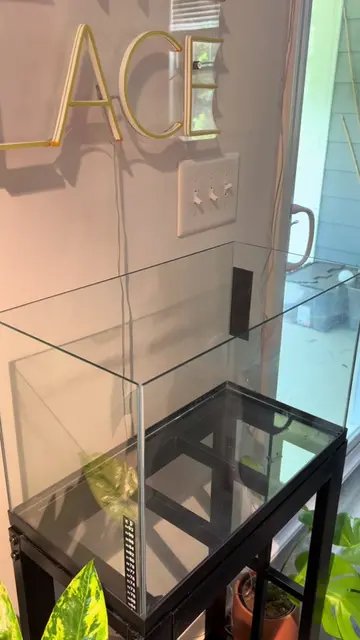 Part ONE of setting up my new home betta tank courtesy of @Christian_G🪴 💁🏻‍♀️
