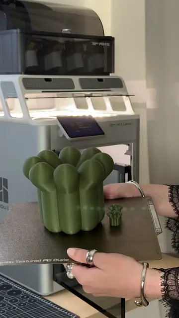 Did you think it was going to be a giant broccoli? 🥦⁠ ⁠Nope, just a very cozy l
