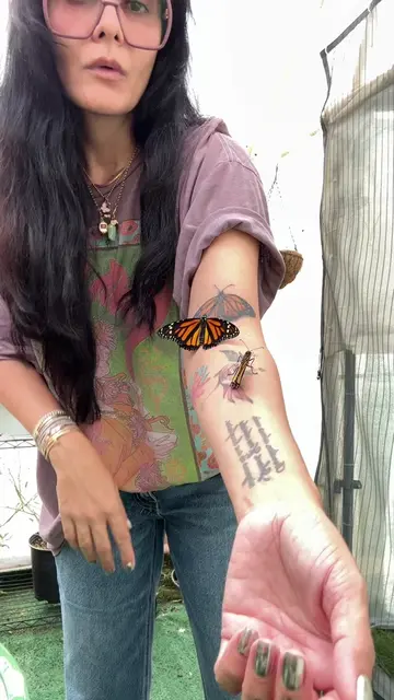 #butterflytattoo 