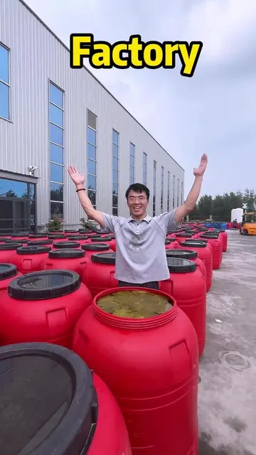 Perfect grape leaves factory!#grapeleaves #b2b #wholesale #sourcefactory #dolma 
