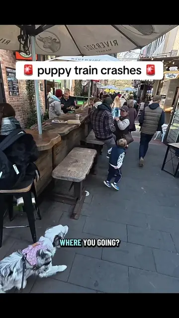 I LOVE THIS INTERACTION SM 🥰 If you have kids and see us about, be sure to stop