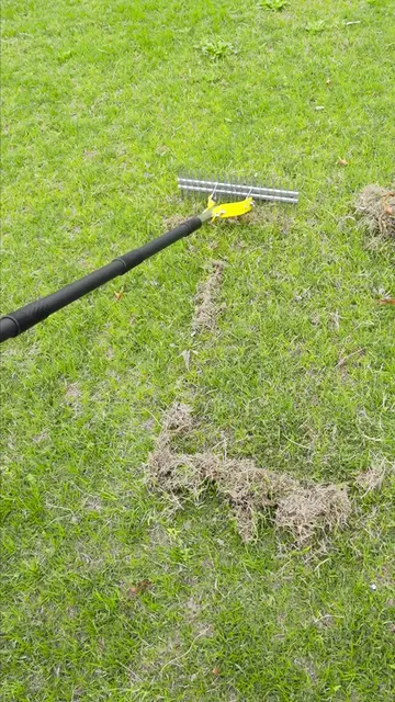#yardwork #garden #gardentok #amazon #amazonfinds #fyppp #fotyou #yard #tools #f