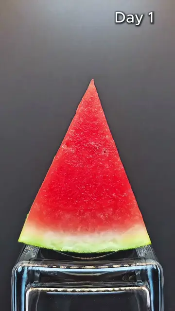Watermelon — 10 Days Without a Fridge in 5 Seconds 🍉⚡️ #Shorts  #Watermelon #Ti