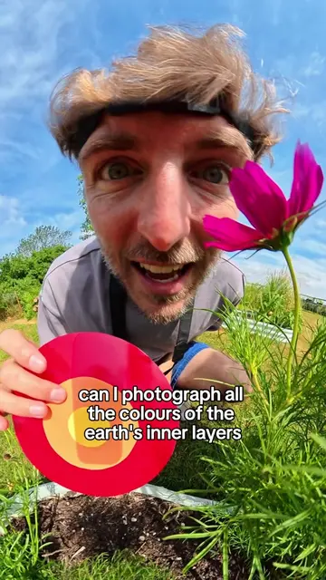 Photography challenge in my garden - can I find all the colours?  I went hunting