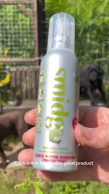#ad Smidge insect repellent deet free. Don’t go anywhere without it. Uk camping,