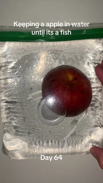 #viralchallenge #pleasedontflop #appleexperiment #appleinwater #sciencefun 